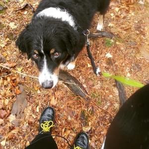 Meet your Posher, Kirby